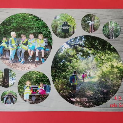 rote Gruppe - Suchspiel -  Aufgabe: Finde tolle Motive im Wald und fotografiere sie.
