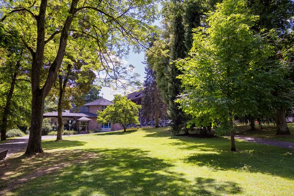 Bild vergr&ouml;&szlig;ern: B&auml;ume im Kurpark