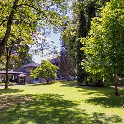 B&auml;ume im Kurpark